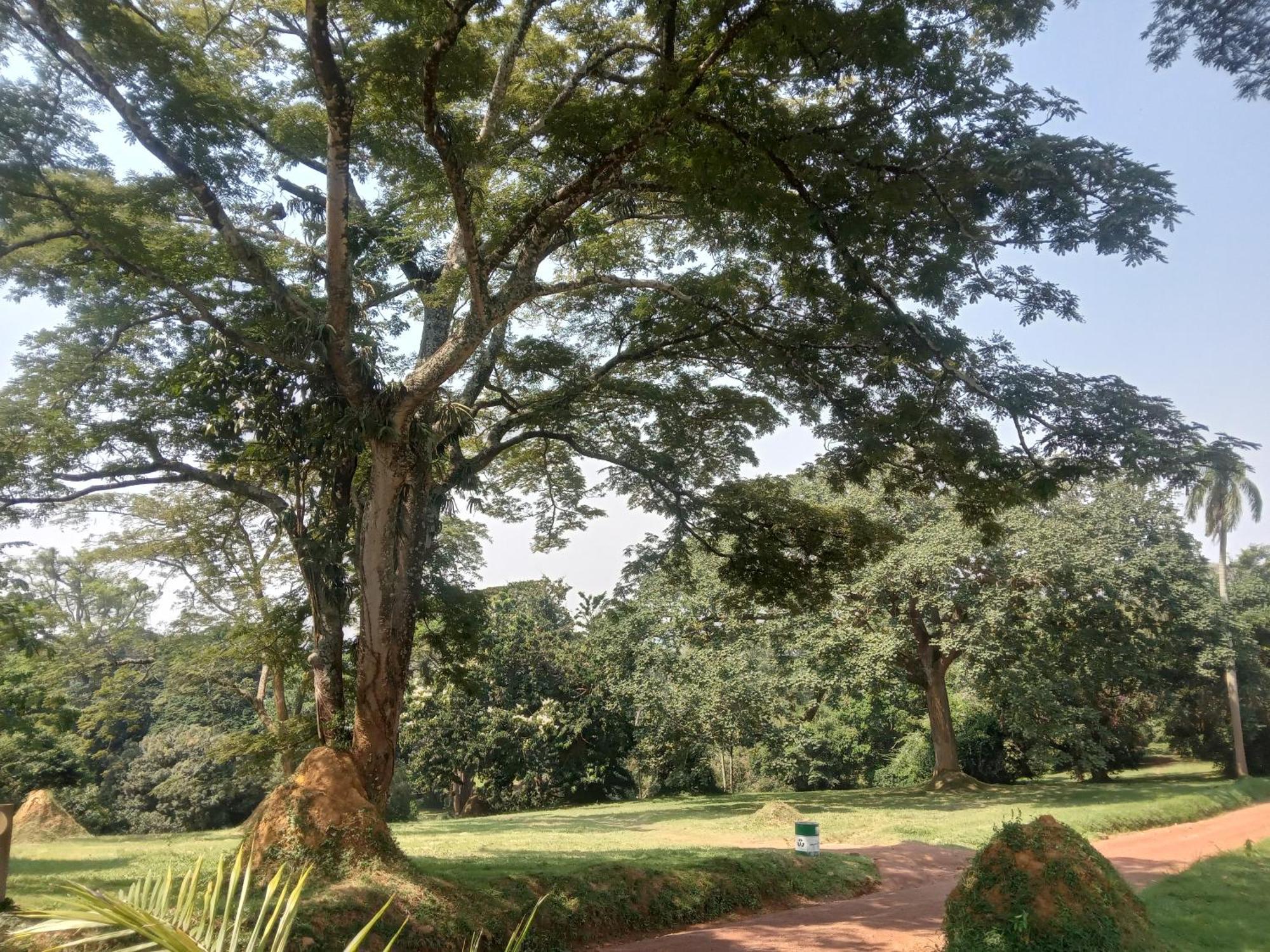 Mowicribs Hotel And Spa Entebbe Zimmer foto